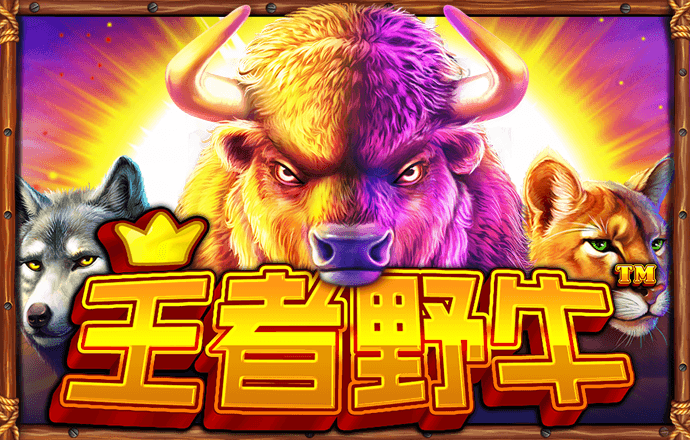 云顶国际8588yd